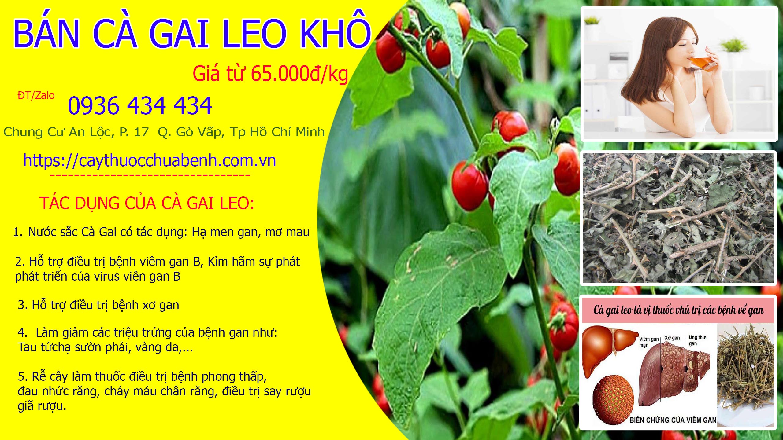 cay ca gai leo