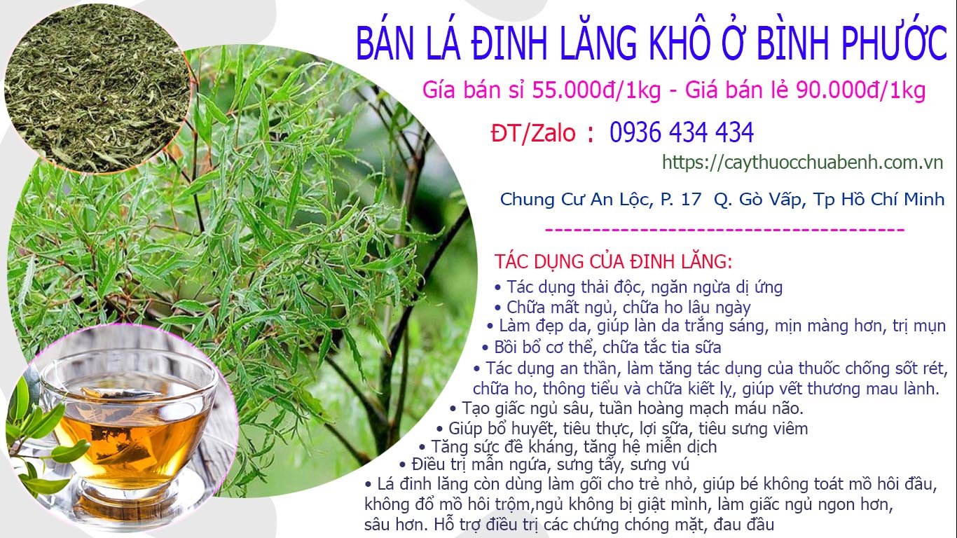 Bán lá đinh lăng khô ở Bình Phước giá từ 55k