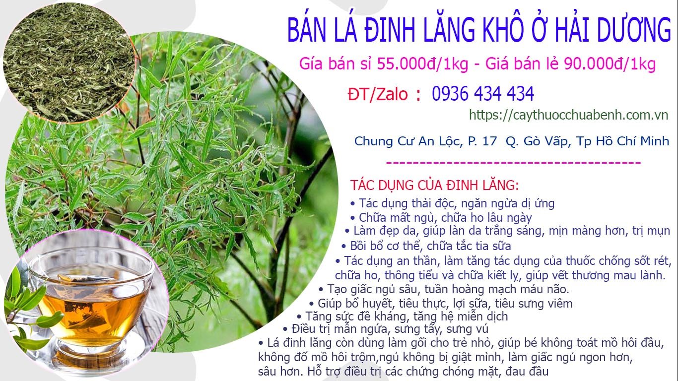 Mua Bán lá đi lăng khô ở Hải Dương giá từ 55k