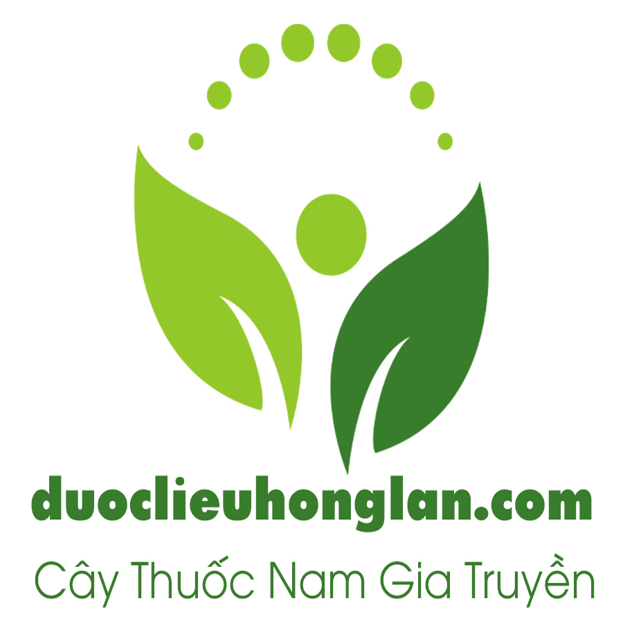 logo - cty-duoc-lieu-hong-lan 0010