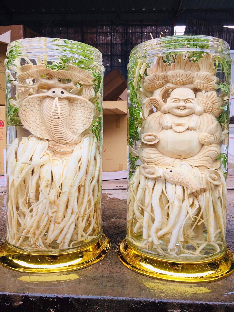 Củ Đinh Lăng Điêu Khắc