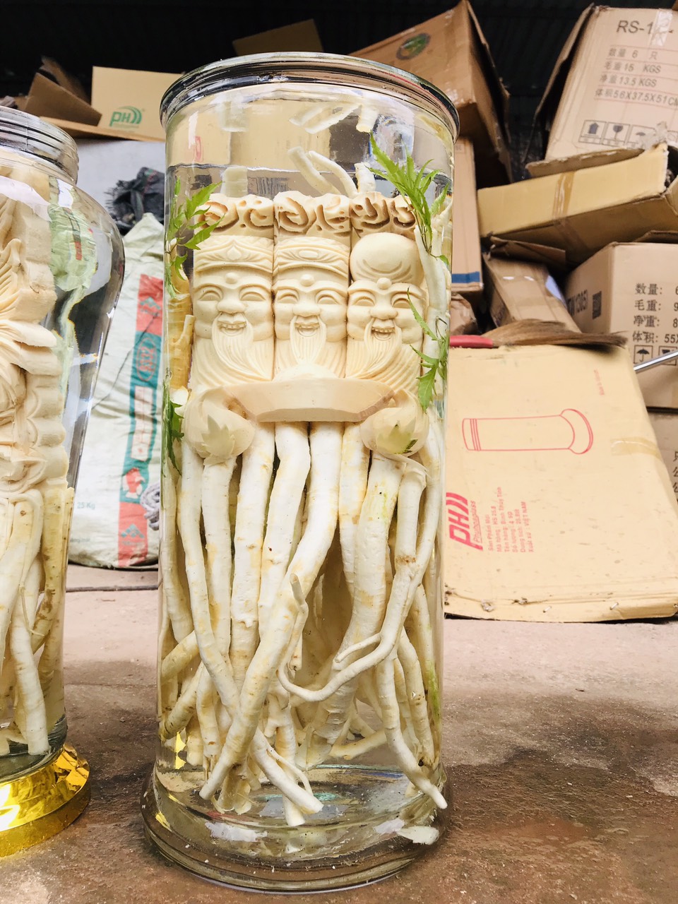 Củ Đinh Lăng Điêu Khắc