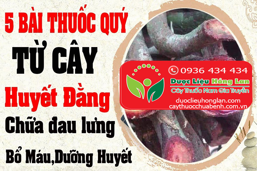 BAI THUOC CHUA BENH TU CAY HUYEN DANG