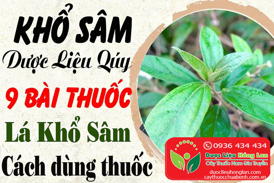KHO-SAM-CO-TAC-DUNG-GI-CTY-DUOC-LIEU-HONG-LAN