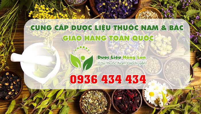 Công ty dược liệu Hồng Lan - chuyên chỉ đầu nguồn thảo dược - đồ ngâm rượu - thuốc đông y- cây thuốc nam ở Lạng Sơn