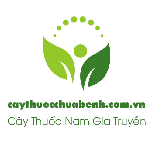 logo-caythuocchuabenh - Cty-duoc-lieu-hong-lan