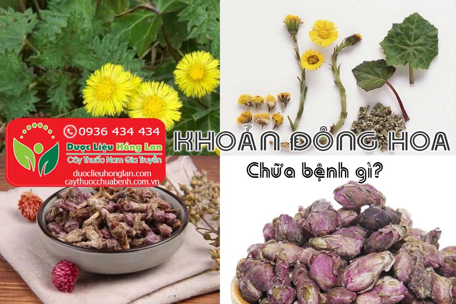 KHOAN-DONG-HOA-CHUA-BENH-GI-CTY-DUOC-LIEU-HONG-LAN