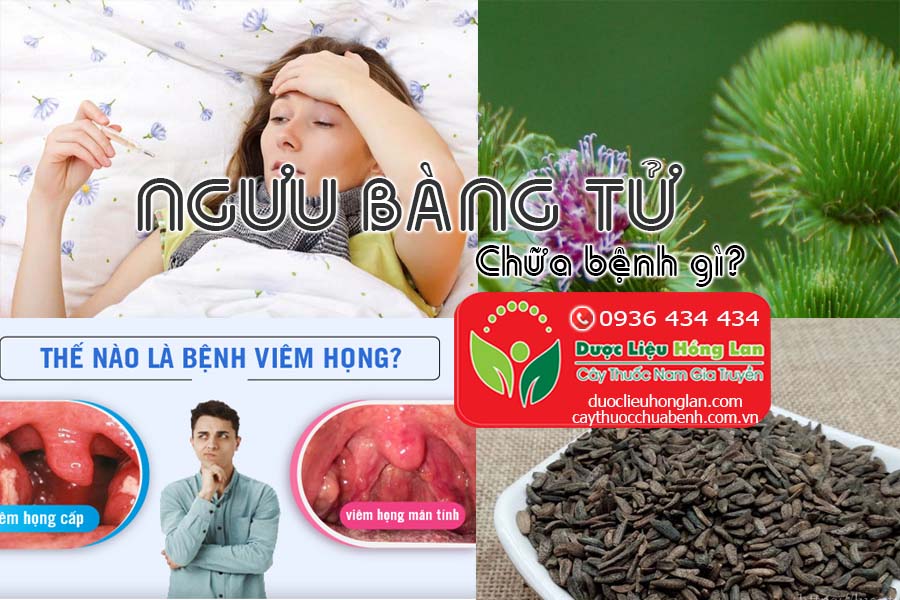 NGUU-BANG-TU-CHUA-BENH-GI-CTY-DUOC-LIEU-HONG-LAN
