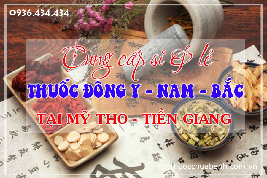 my-tho-tien-giang-mua-ban-si-le-thuoc-dong-y-nam-bac-ctyduoclieuhonglan