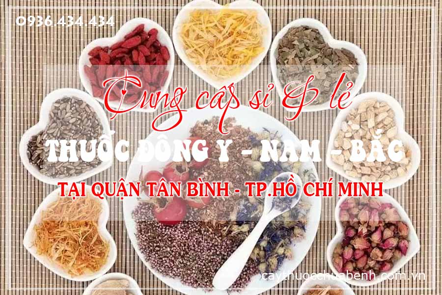 quan-tan-binh-mua-ban-si-le-thuoc-dong-y-nam-bac-ctyduoclieuhonglan