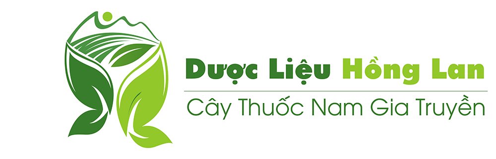 logo-cong-ty-duoc-lieu-hong-lan
