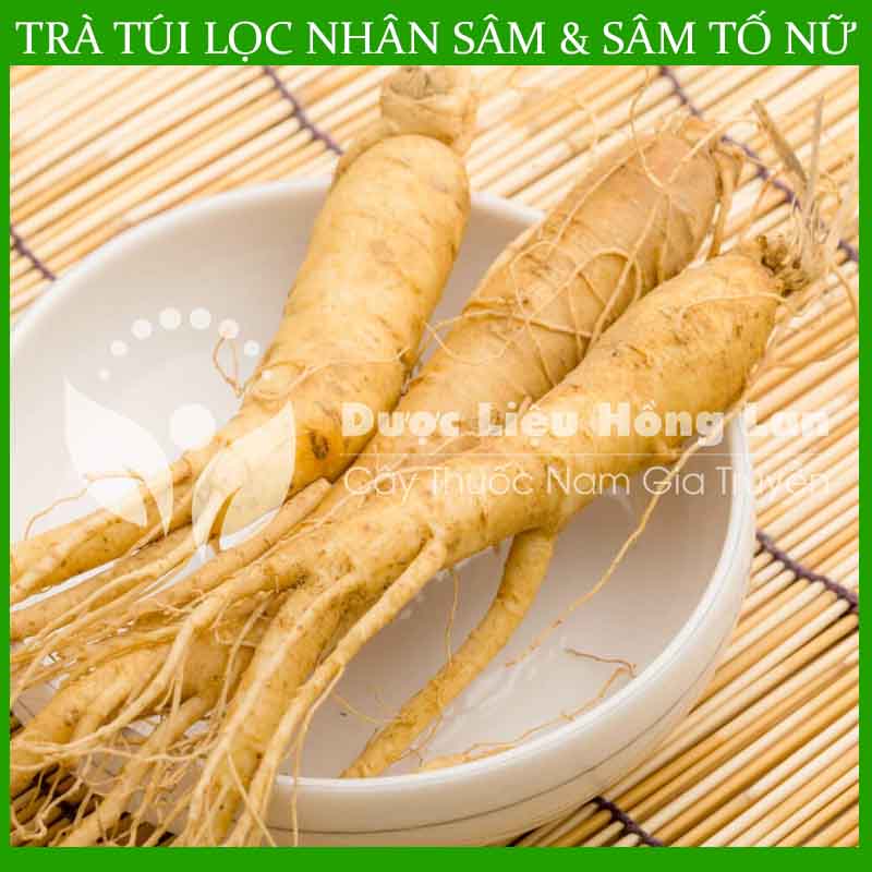 tra-tui-loc-nhan-sam-va-sam-to-nu-congtyduoclieuhonglan 01